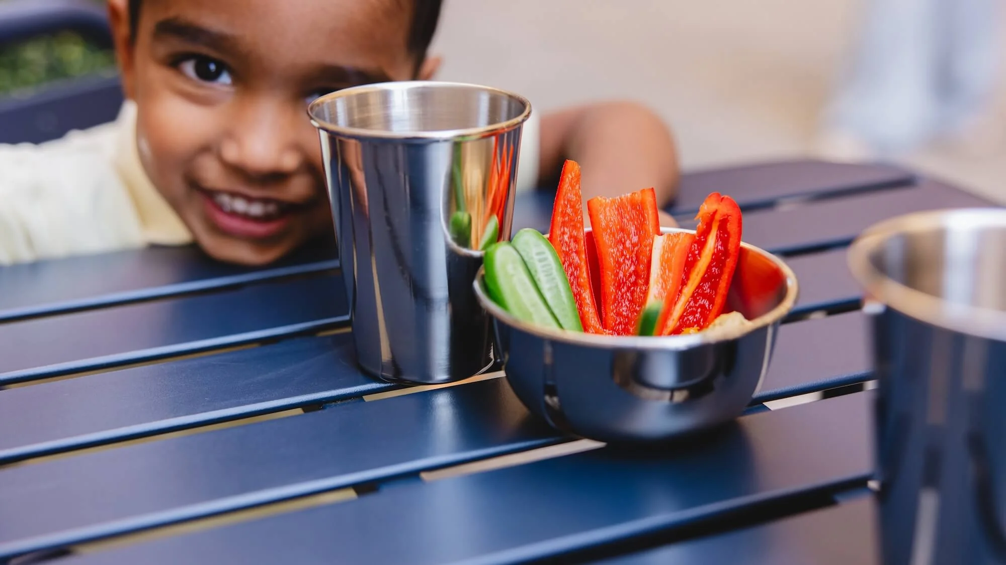 Healthy Meals, Vibrant Childhoods
